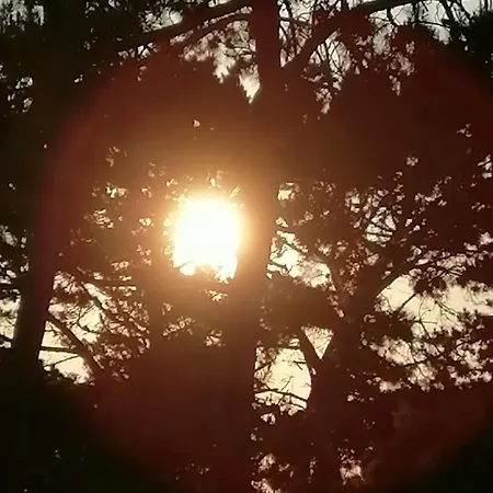 Domaine De La Lumiere 생장드몽