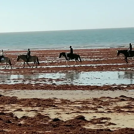 Domaine De La Lumiere 公寓 圣让-德蒙