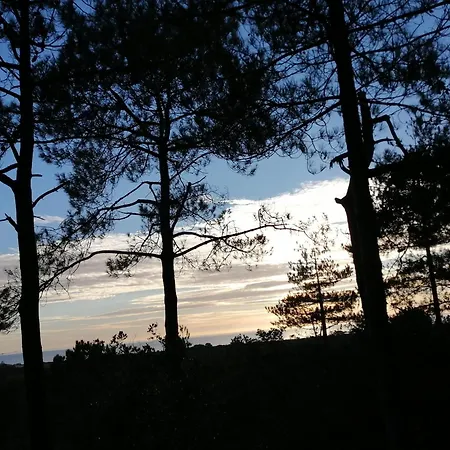 Domaine De La Lumiere *