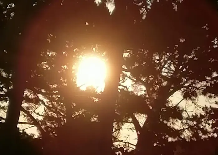 Domaine De La Lumiere 생장드몽