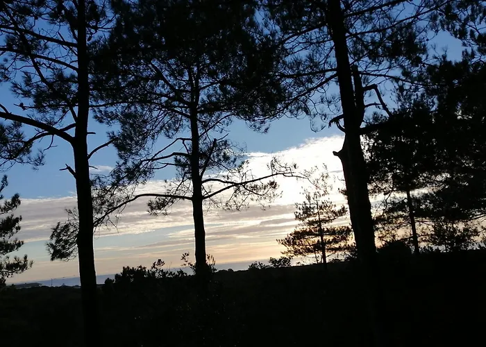 Domaine De La Lumiere *